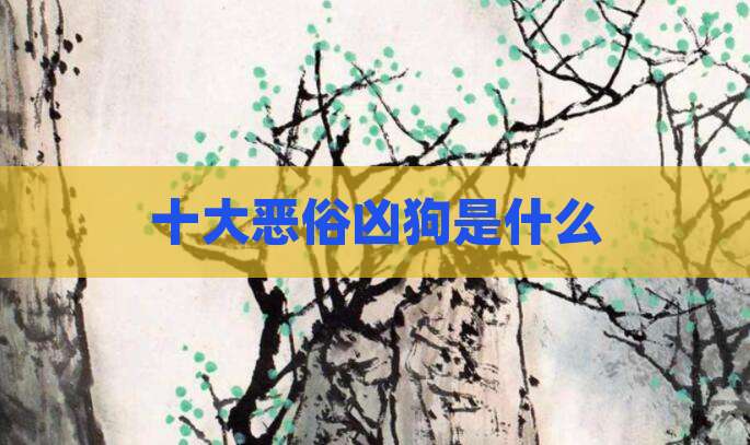 十大恶俗凶狗是什么