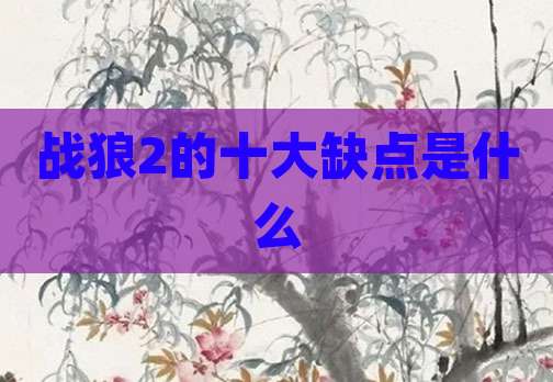 战狼2的十大缺点是什么