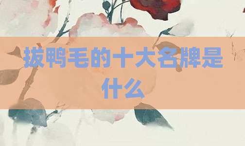 拔鸭毛的十大名牌是什么