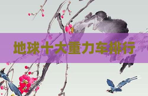 地球十大重力车排行