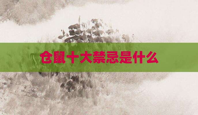 仓鼠十大禁忌是什么