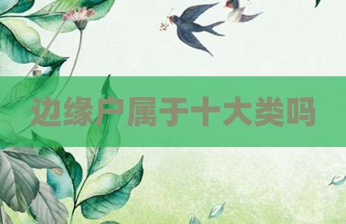 边缘户属于十大类吗