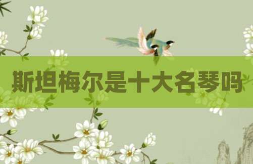 斯坦梅尔是十大名琴吗