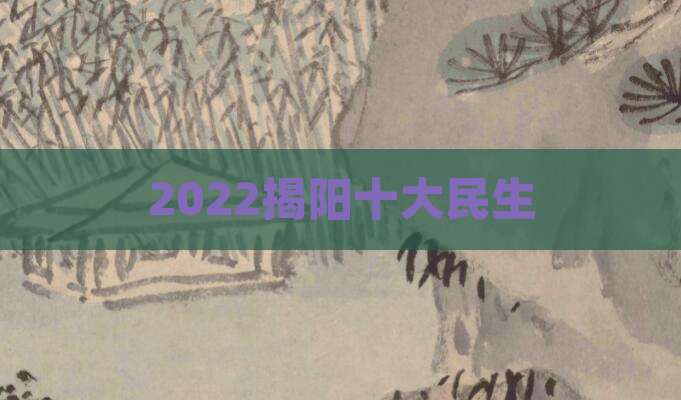 2022揭阳十大民生