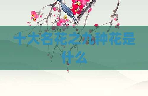 十大名花之九种花是什么