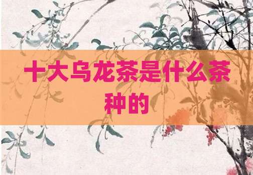 十大乌龙茶是什么茶种的