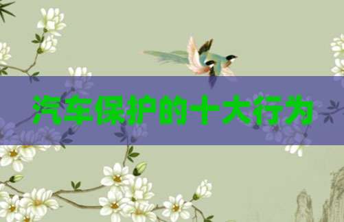 汽车保护的十大行为