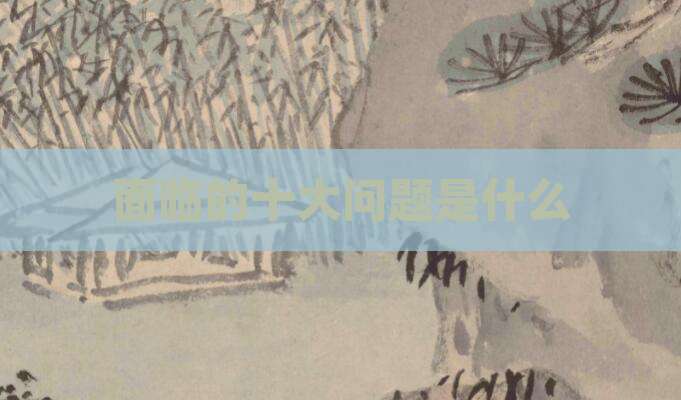 面临的十大问题是什么