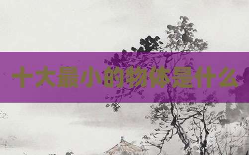 十大最小的物体是什么