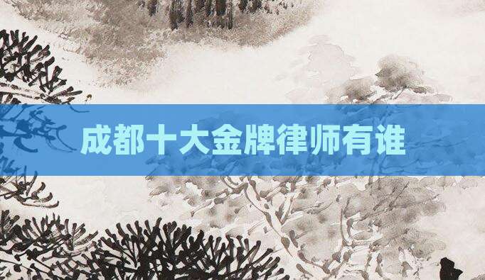 成都十大金牌律师有谁