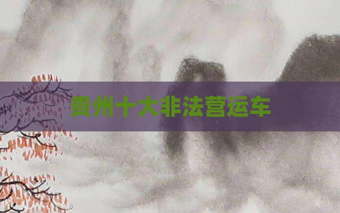 贵州十大非法营运车