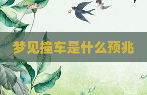 梦见撞车是什么预兆