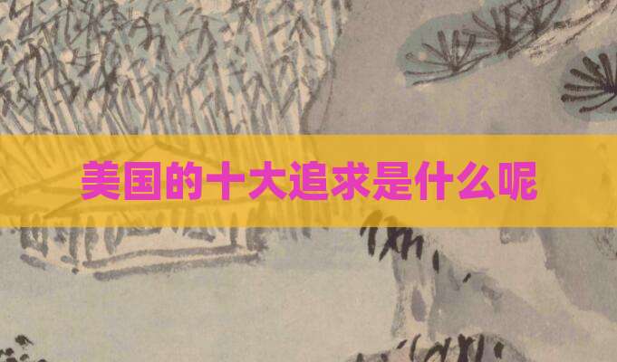 美国的十大追求是什么呢