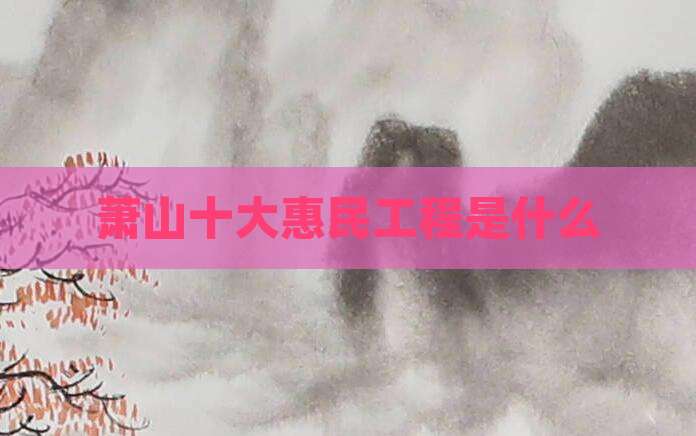 萧山十大惠民工程是什么