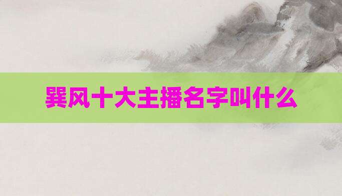 巽风十大主播名字叫什么
