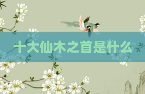 十大仙木之首是什么