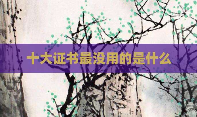 十大证书最没用的是什么