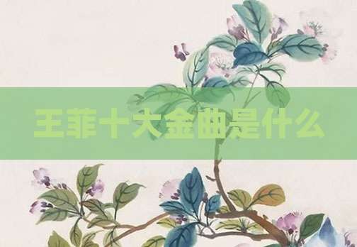王菲十大金曲是什么
