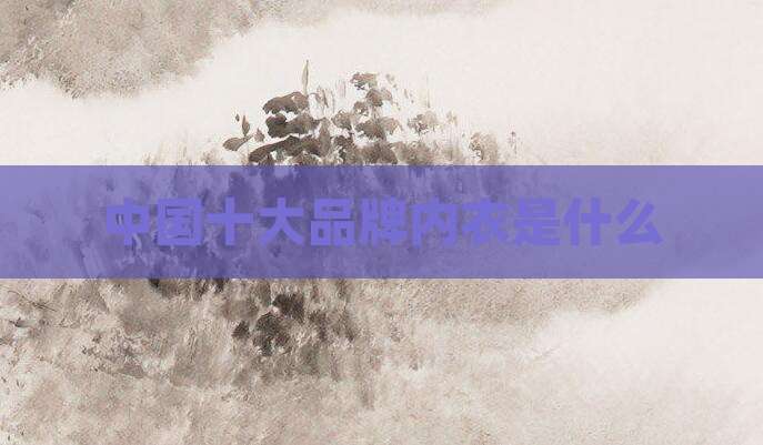 中国十大品牌内衣是什么