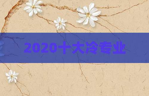 2020十大冷专业