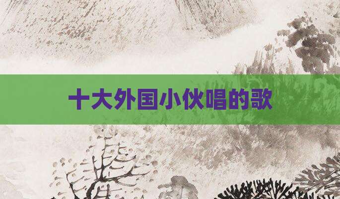 十大外国小伙唱的歌