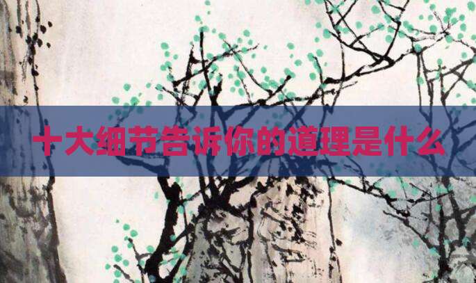 十大细节告诉你的道理是什么