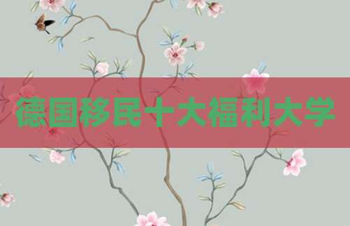 德国移民十大福利大学
