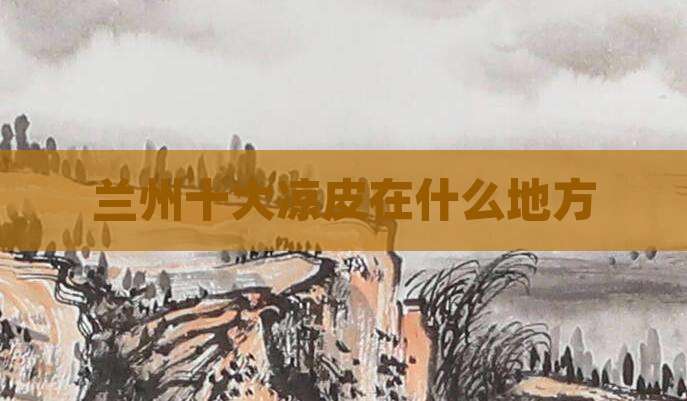 兰州十大凉皮在什么地方