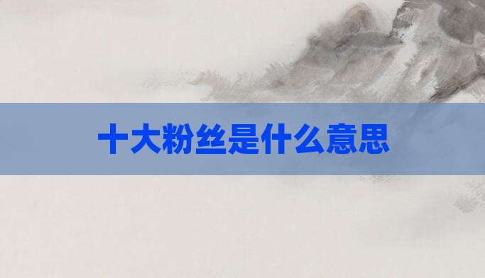 十大粉丝是什么意思
