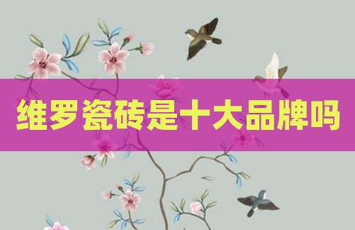 维罗瓷砖是十大品牌吗