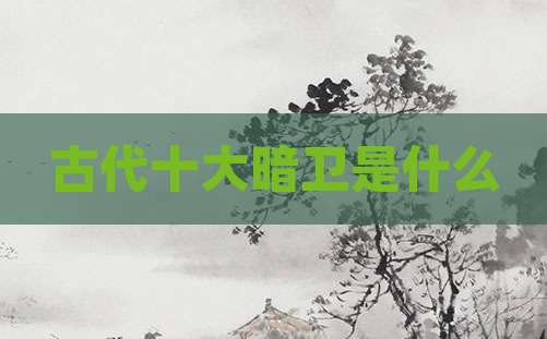 古代十大暗卫是什么
