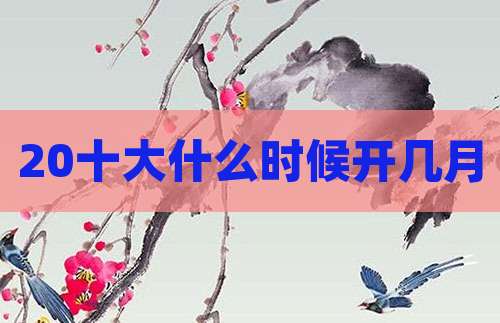 20十大什么时候开几月