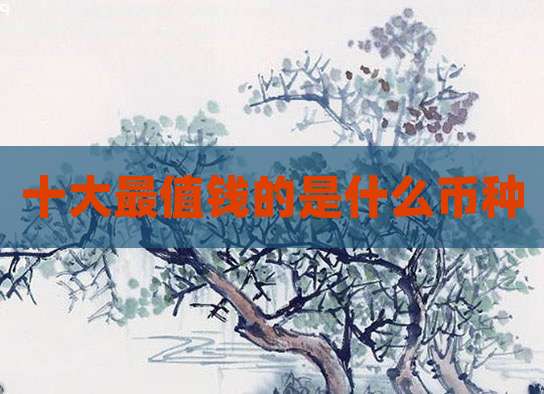 十大最值钱的是什么币种