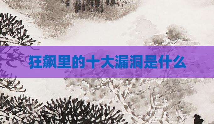 狂飙里的十大漏洞是什么