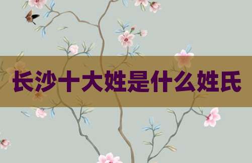 长沙十大姓是什么姓氏