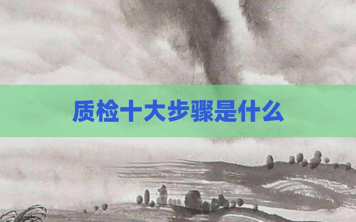质检十大步骤是什么