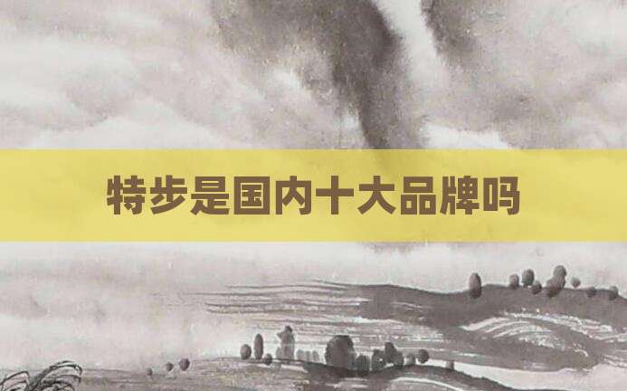 特步是国内十大品牌吗