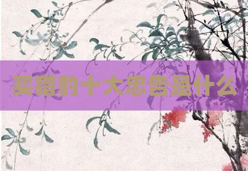 买猎豹十大忠告是什么