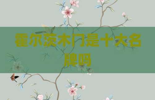霍尔茨木门是十大名牌吗
