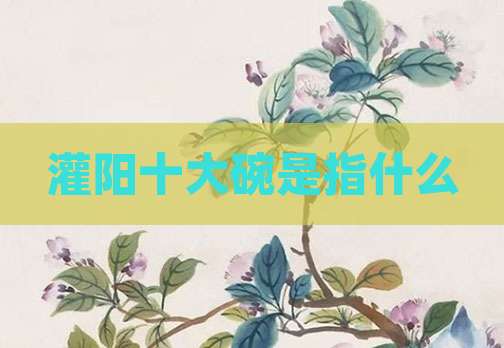 灌阳十大碗是指什么