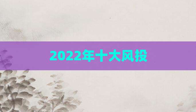 2022年十大风投