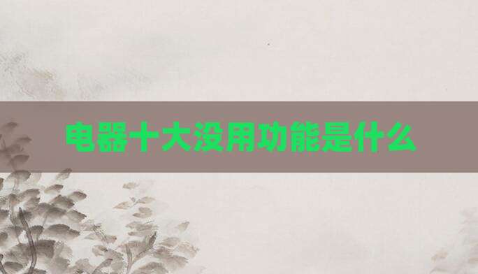 电器十大没用功能是什么