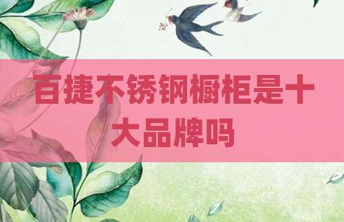 百捷不锈钢橱柜是十大品牌吗