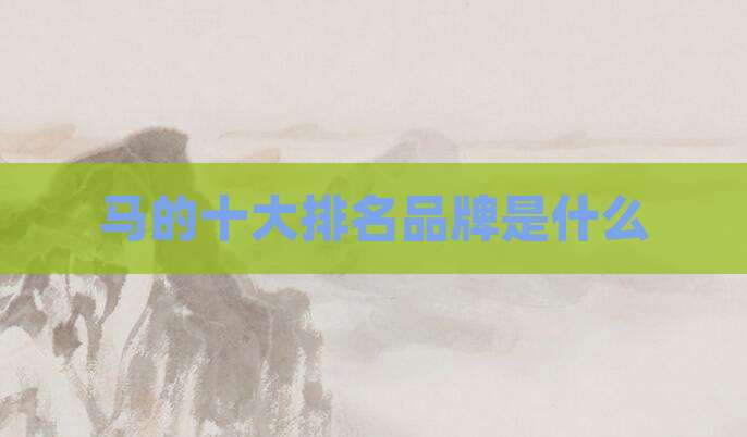 马的十大排名品牌是什么