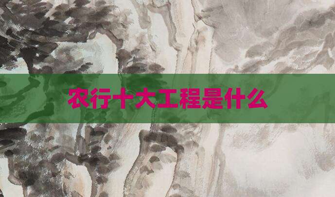 农行十大工程是什么