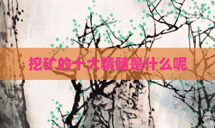 挖矿的十大精髓是什么呢