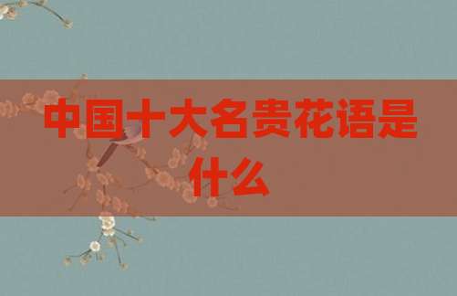 中国十大名贵花语是什么