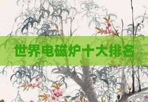世界电磁炉十大排名