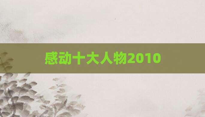感动十大人物2010