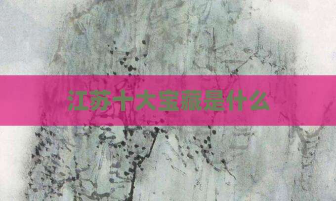 江苏十大宝藏是什么